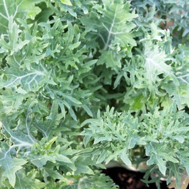 - Kopie - Kopie - Kopie - Kopie - Kopie