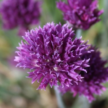 Preview: - Kopie - Kopie - Kopie - Kopie