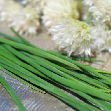 Schnittlauch White Bere (Pflanze)