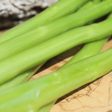 Neu! Spargelsalat Pointed Taiwan Sword (Samen)
