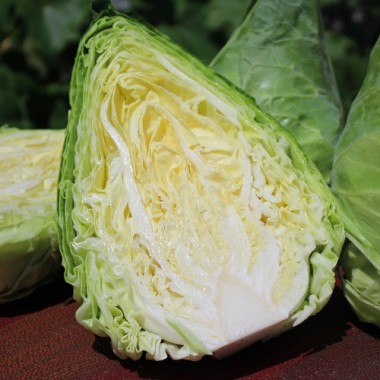 Spitzkohl Cuor di Bue (Samen)