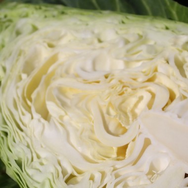 Spitzkohl Durham Early (Samen)