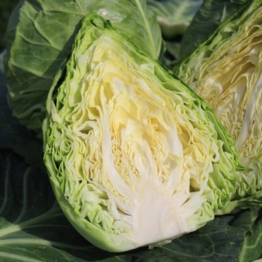Spitzkohl Eersteling (Samen)
