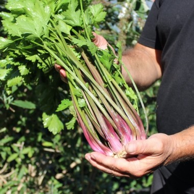 Preview: - Kopie - Kopie - Kopie - Kopie - Kopie