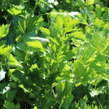 - Kopie - Kopie - Kopie - Kopie - Kopie