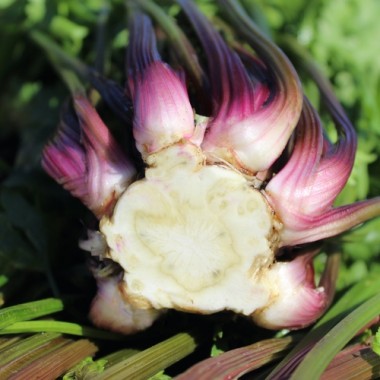 Preview: - Kopie - Kopie - Kopie - Kopie - Kopie