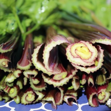 Preview: - Kopie - Kopie - Kopie - Kopie - Kopie