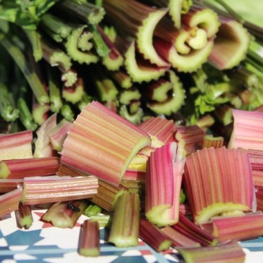 - Kopie - Kopie - Kopie - Kopie - Kopie