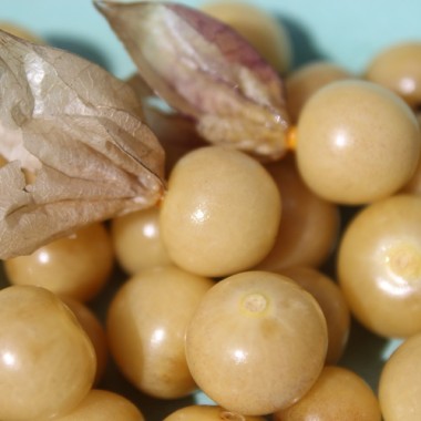 Sunberry (Samen)