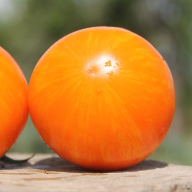 - Kopie - Kopie - Kopie