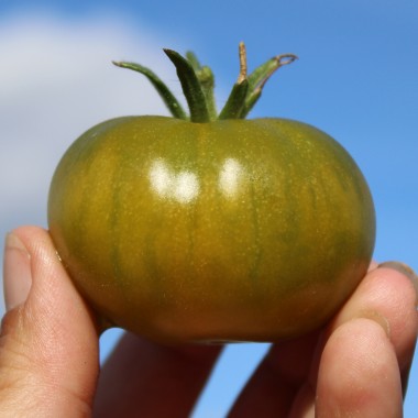 - Kopie - Kopie - Kopie