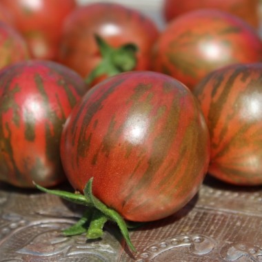 Tomate Black Vernissage (Samen)