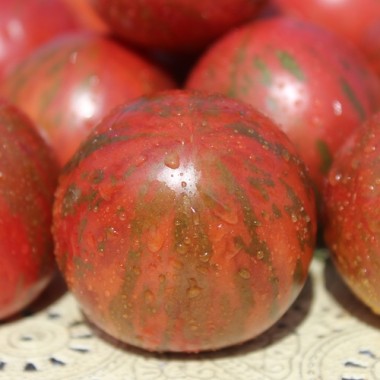 Tomate Black Vernissage (Samen)