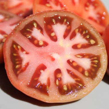 knackig und sehr aromatisch 500 Samen Tomaten DER ERGIEBIGE:  rot 