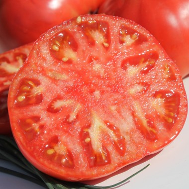 Tomate Brandywine pink (Samen)