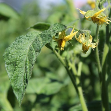 Preview: - Kopie - Kopie - Kopie - Kopie - Kopie - Kopie