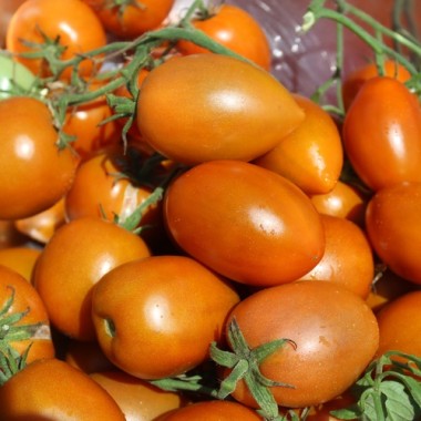 Tomate Butterscotch (Samen)