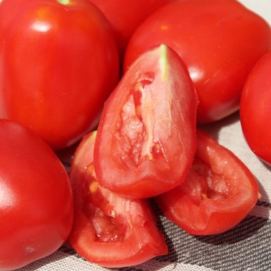 Tomate Czibis (Buschtomate) (Samen)