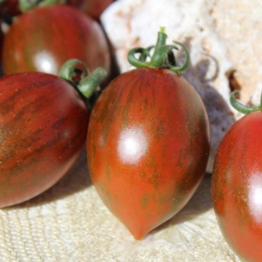 Neu! Tomate Datterino Nero (Samen)