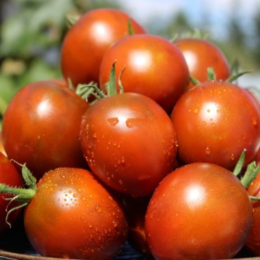 Tomate De Barao braun (freilandgeeignet) (Samen)