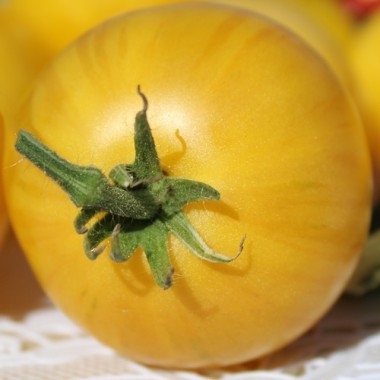 Neu! Tomate Dwarf Walter’s Fancy (panaschiert) (Samen)