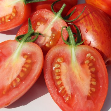 Tomate Geraldine  (Samen)