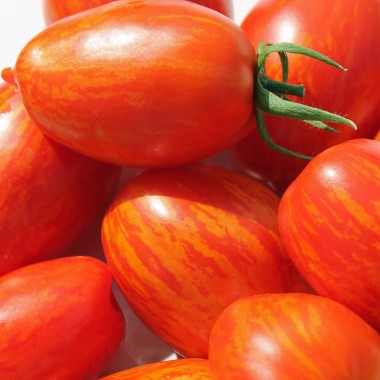 Tomate Geraldine  (Samen)