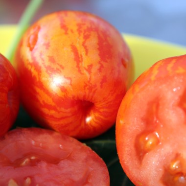 Tomate Geraldine  (Samen)