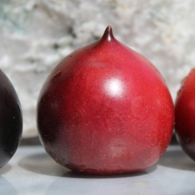 Tomate Soeur des Coeurs (H34 Rose) (Samen)