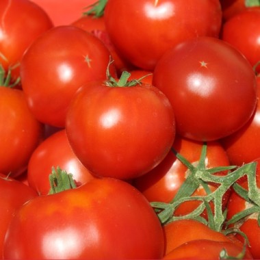 Tomate Librazhd Albanien (Samen)