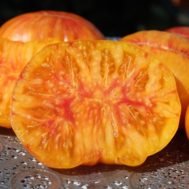 Tomate Lithium Sunset (Samen)