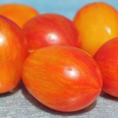 Tomate Lucfichoise (Multiflora) (Samen)