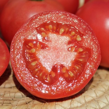 Tomate Mrs. Pinky (Samen)