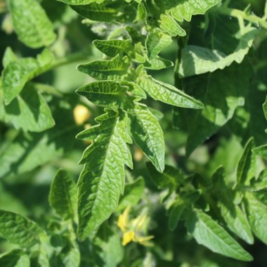 - Kopie - Kopie - Kopie - Kopie - Kopie