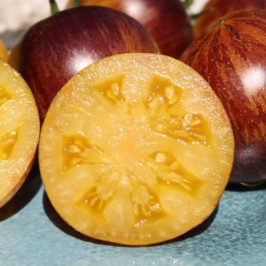 Neu! Tomate Rebel Starfighter Keyley Anne (Samen)