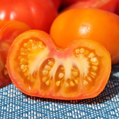 Tomate Rumi Banjan (Samen)