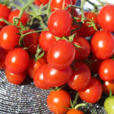 Neu! Tomate Zuckerino Lukas (Multiflora) (Samen)