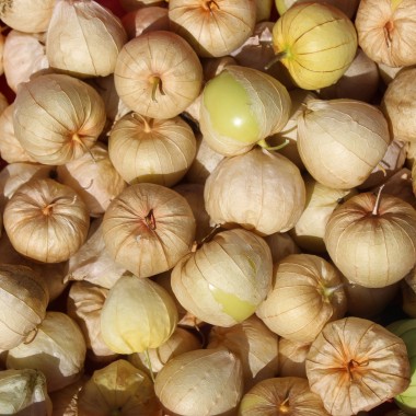 Tomatillo Mramorii (Samen)