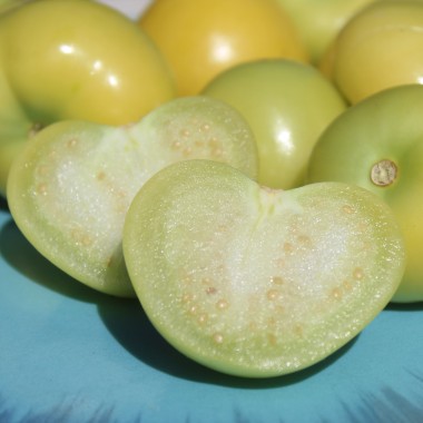 Tomatillo Mramorii (Samen)