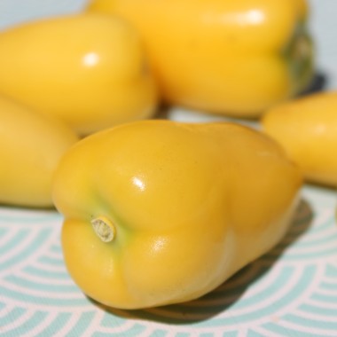 Tomatillo Queen of Malinalco (Samen)