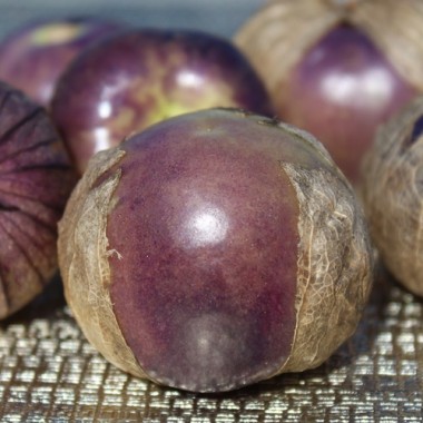 Tomatillo Vallisto (Samen)