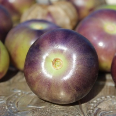 Tomatillo Vallisto (Samen)