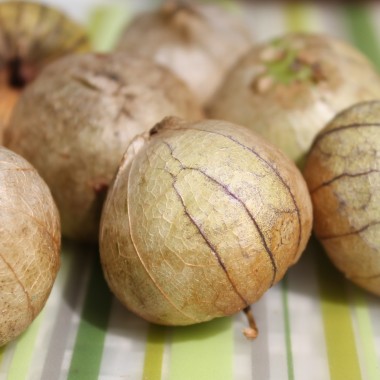 Tomatillo Zuni (Samen)