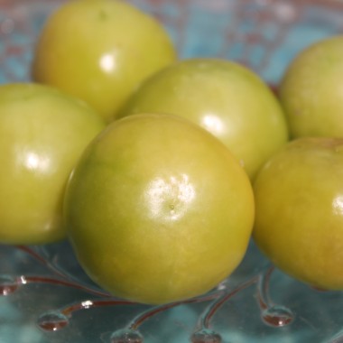 Tomatillo Zuni (Samen)