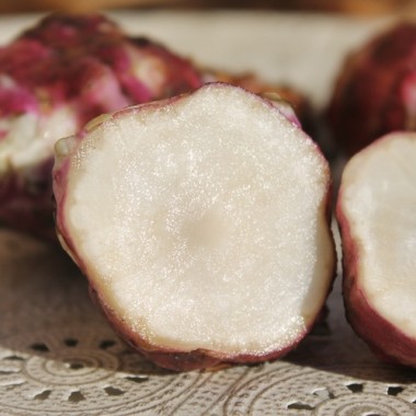 Preview: Topinambur Gföhler Rote (Pflanze)