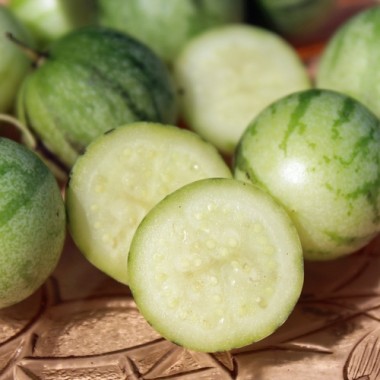 Preview: Tzimbalo (Samen)