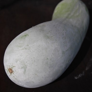Wachskürbis Roong Arun (Samen)