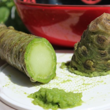 Wasabi (Pflanze)