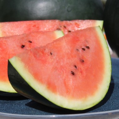 Wassermelone Bush Sugar Baby (Samen)