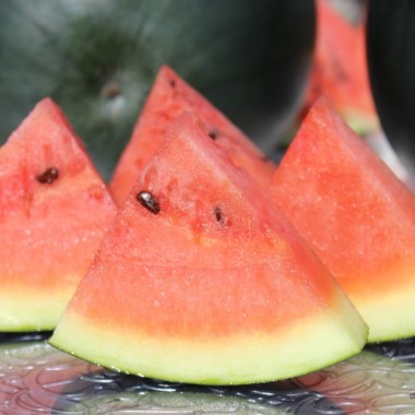 Wassermelone Bush Sugar Baby (Samen)